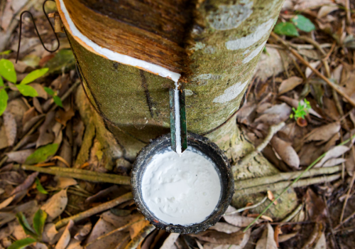 Sustainable rubber – the trend of the times